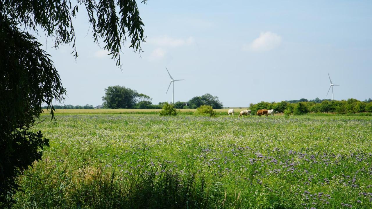 Ferienhaus Achtern Diek Emmelsbüll-Horsbüll Exteriör bild